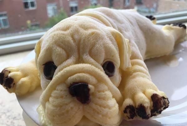 网红零食也"照骗",蠢萌变"粑粑",网图舍不得吃,实图想吐