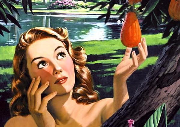 全世界都有同一个母亲科学界的夏娃理论是怎么回事