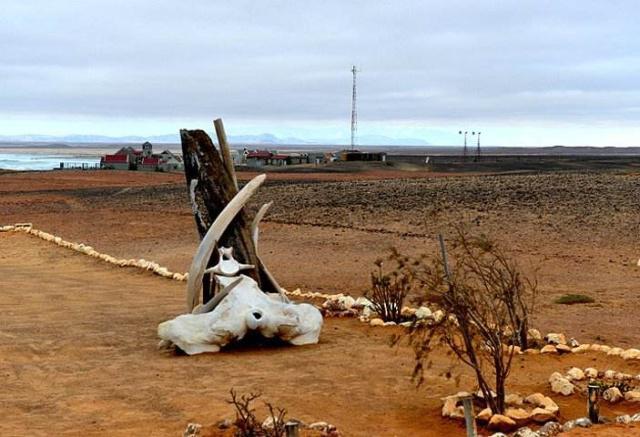 世界上最危险的海岸线,被称为"骷髅海岸",岸上遍布尸骨残骸
