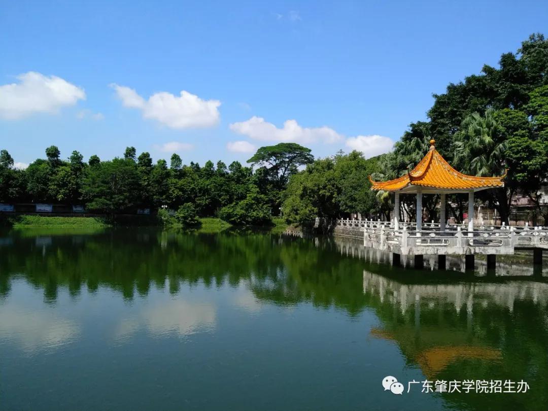 速看肇庆学院发布220人公费师范生招录公告服务清远云浮