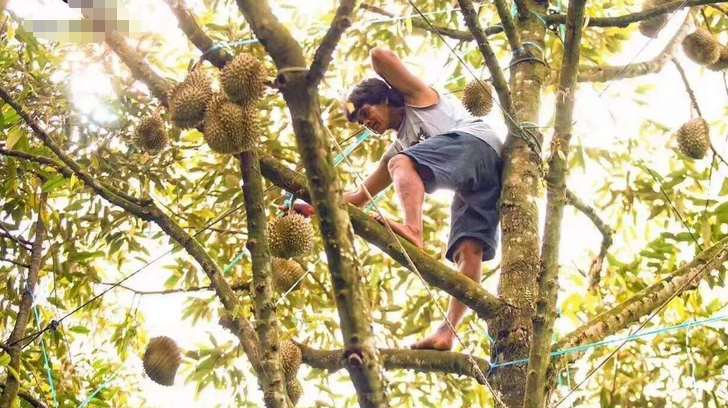 泰国小伙说出原因