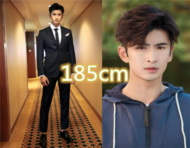 嘉行男星平均身高185张云龙刚刚好看到他难怪杨幂力捧