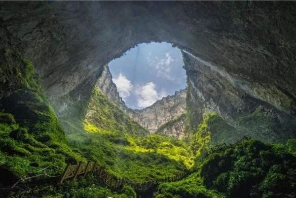 全球最大地下原始森林,面积达9.6万平方米,罕见奇观终生难遇!