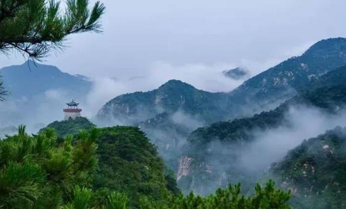 山东第一大城市角逐：青岛、济南、东营，谁会成为最终的胜利者？