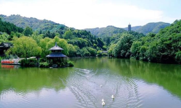 山东第一大城市角逐：青岛、济南、东营，谁会成为最终的胜利者？
