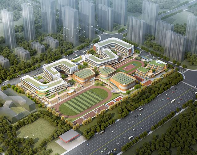 137亩!潍坊这所九年一贯制新校终于落地|商务区|学校|潍坊_新浪新闻