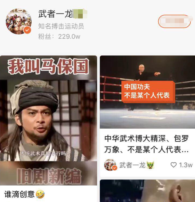 马保国打起拳来像蛤蟆,他学过太极拳吗?一龙是中国武术代表吗?