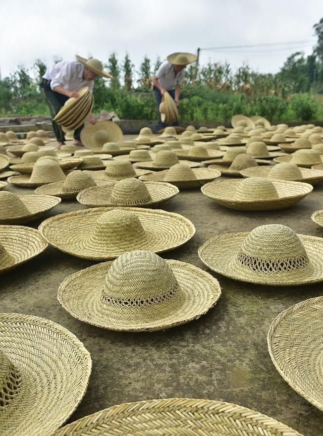 农村没人要的草帽在国外售价近万元看看你老家还有没有