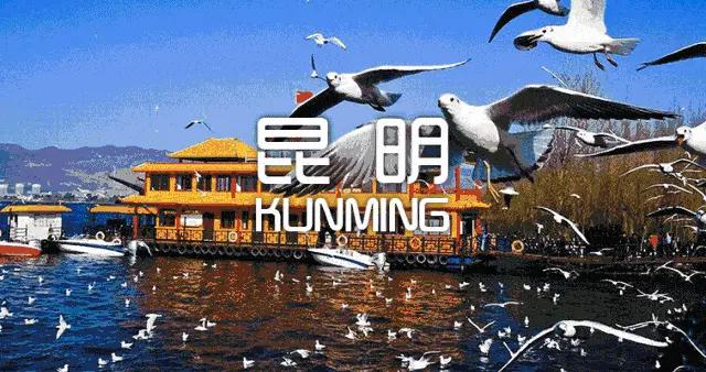 昆明找大学生兼职的5个靠谱方法