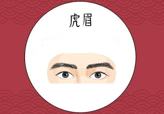 4.虎眉虎眉的特点是眉头很窄,而眉尾宽而不散,整体浓密有势.