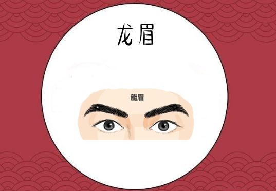 龙眉所谓的龙眉,就是指一个人的眉毛长得圆润,整体微弯向上,眉尾长而