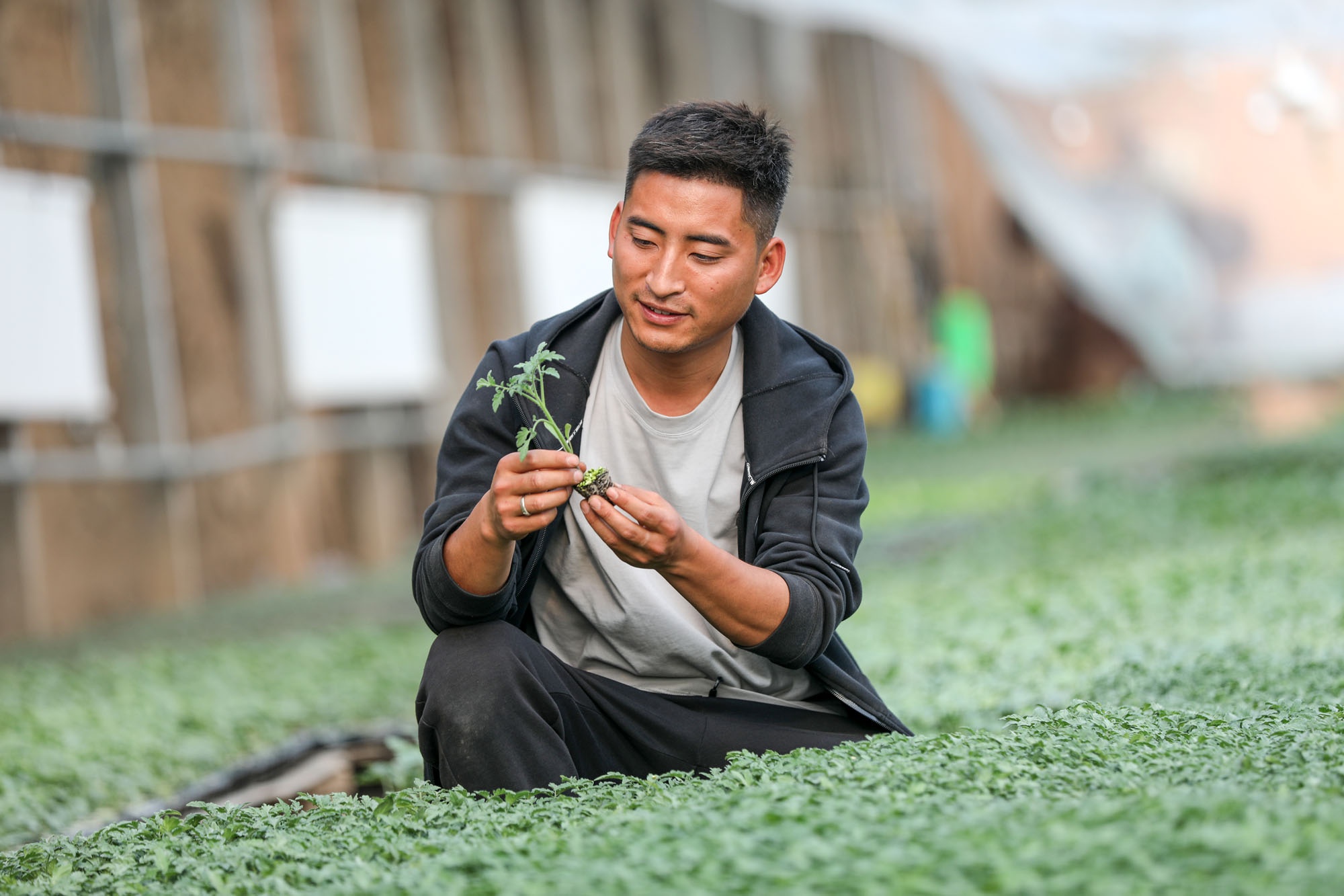 山西农村90后大学生毕业后回乡创业,年入40万,看他干的啥事业