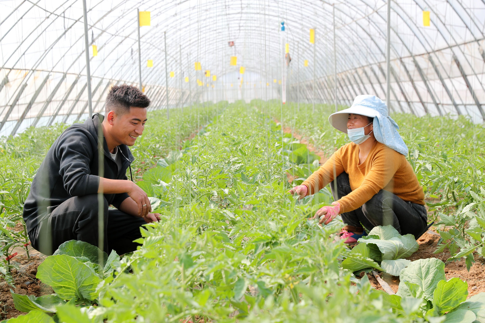 山西农村90后大学生毕业后回乡创业,年入40万,看他干的啥事业