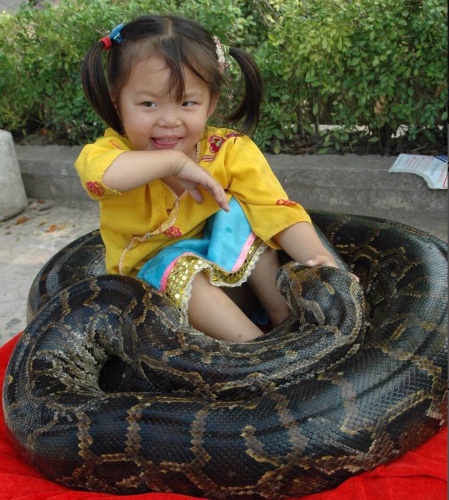 小伙去朋友家玩时,看到小女孩跟蟒蛇缠在一起,得知原因傻了眼
