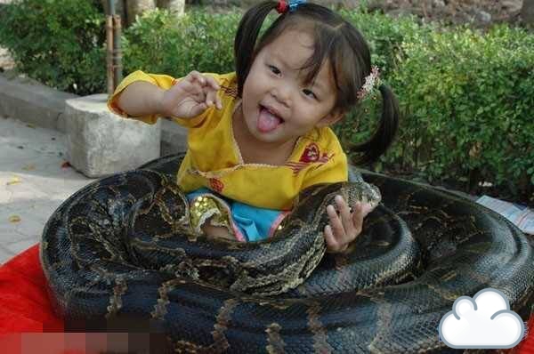 小伙去朋友家玩时,看到小女孩跟蟒蛇缠在一起,得知原因傻了眼