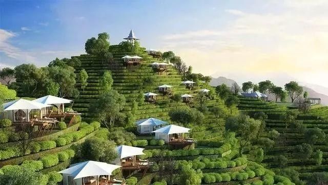 "茶旅"自然教育研学体验,可以实现年盈利1000万|自然|庄园|茶树_新浪