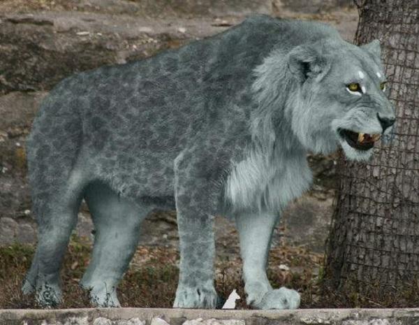 10种已灭绝的史前哺乳动物它们有多大看看它们与人的比例图