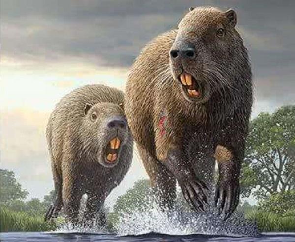 10种已灭绝的史前哺乳动物它们有多大看看它们与人的比例图