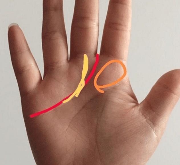 天纹和事业线交合,并且直达福宫的,一生的事业属于稳步上升