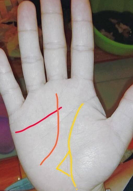 手相机遇纹,三十左右即得好的发展机遇!手枯之人则一辈子辛劳