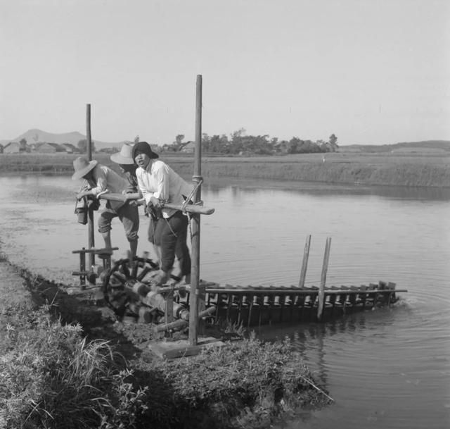 老照片:40年代的原始耕种方式__财经头条