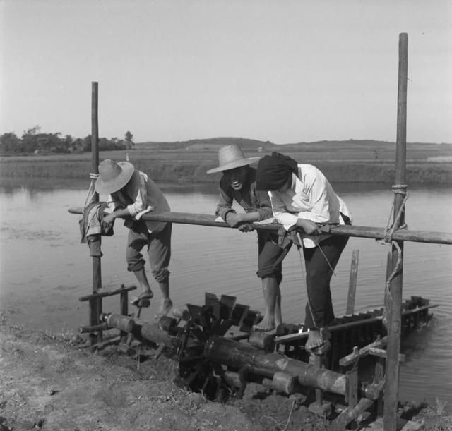 脚踏式水车,这是一项农民的伟大发明,在没有发明电和抽水机的古代,用