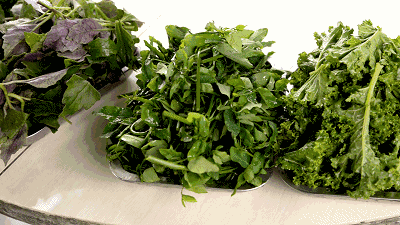 野菜拿来清炒,凉拌或是佐汤……虽然入口苦,却能口口回甘,可以说打开