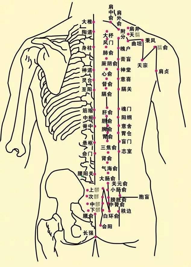 每天2个穴位高效除寒湿中老年人可多尝试