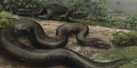 大蛇成蟒,大蟒成蛟!这就是史前最大的蟒蛇,可称为"蛟龙"