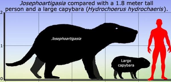 已灭绝的大型哺乳动物图片