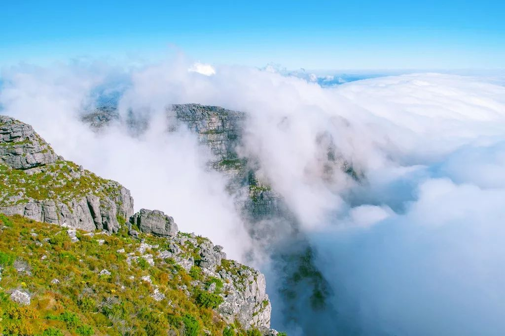 南非海拔超1000米的山脉,常年有云雾所笼罩,被誉"上帝的餐桌"