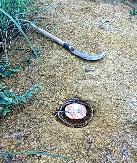 男子山上设圈套捕兽次日看到这画面便决定洗手不干