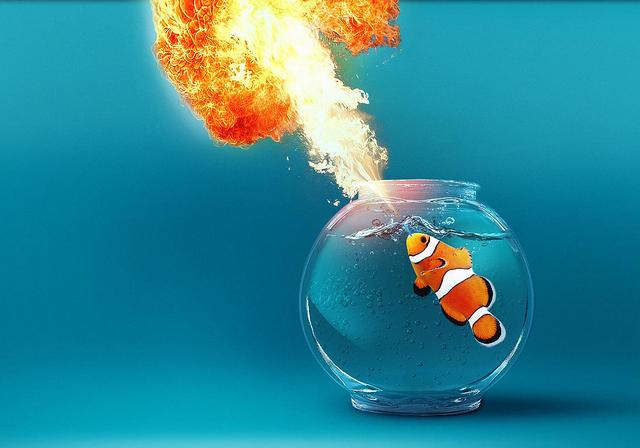 模样就是普通小鱼,张嘴却吐出一口蓝焰|火鱼|喷火|虫_新浪新闻