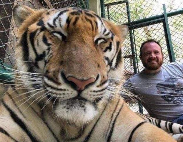 它代表着智慧勇敢和正义,虎将,虎头虎脑,卧虎藏龙,等等