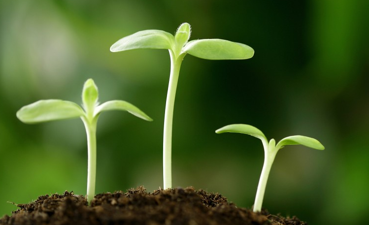 5月26-28号,前景一片光明,运势上等,再也不挨穷的生肖