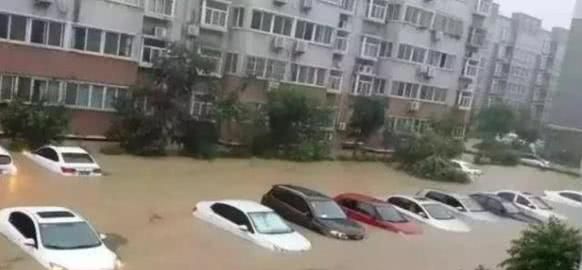 广东的特大暴雨，让车贩子乐翻了天：几十万随随便便到手