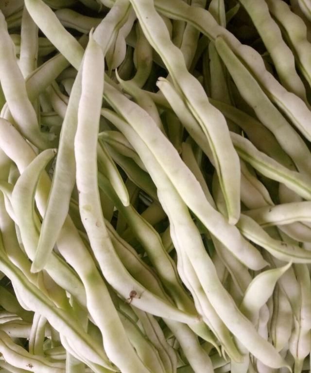 新发地白豆角(白不老):白豆角批发价是2.5-3.25元/斤