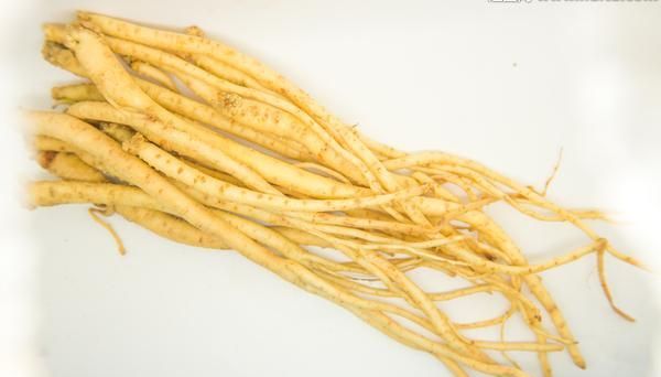 它被称为上党人参有健脾益肺养阴生津作用