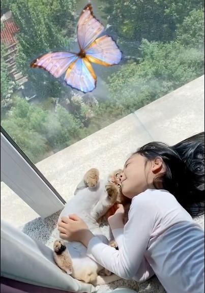 李小璐晒女儿日常,甜馨满脸依赖逗猫玩儿,画面温馨却让人心疼