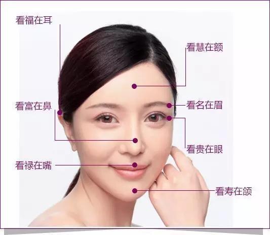 都在说美人在骨不在皮骨相美的舒淇和皮相美的陈德容谁赢