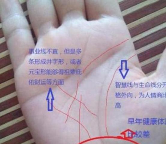 川字掌,外地发展比较好,固执,冲动心急,爽快人有点天真,外地发展好