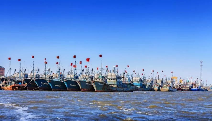 羊口要华丽转身