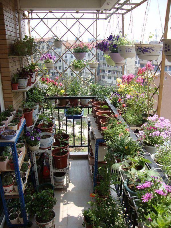 阳台这 样一装,还能多出一个小花园,一年四季芳香四溢可香了!