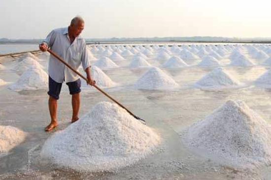 古代卖私盐会坐牢,为什么能卖咸鱼?专家:朝廷聪明定下一个规矩