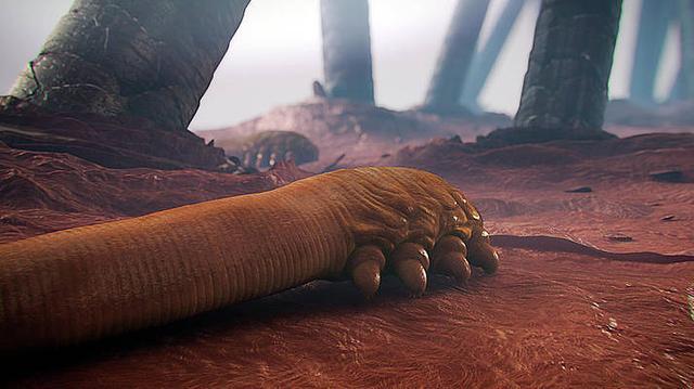 动物界6种最奇葩的拉粑粑方式,每一种都让你眼界大开!|粑粑|海参|蝎子