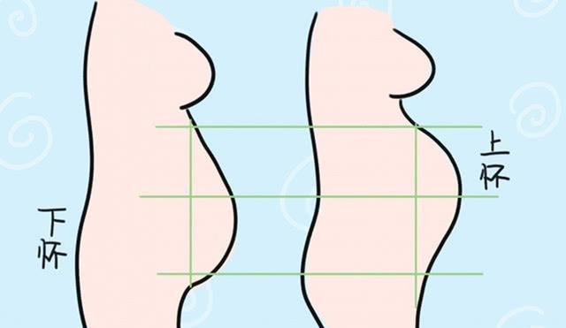 上怀男下怀女孕肚谣言不可信真正的区别是这4点