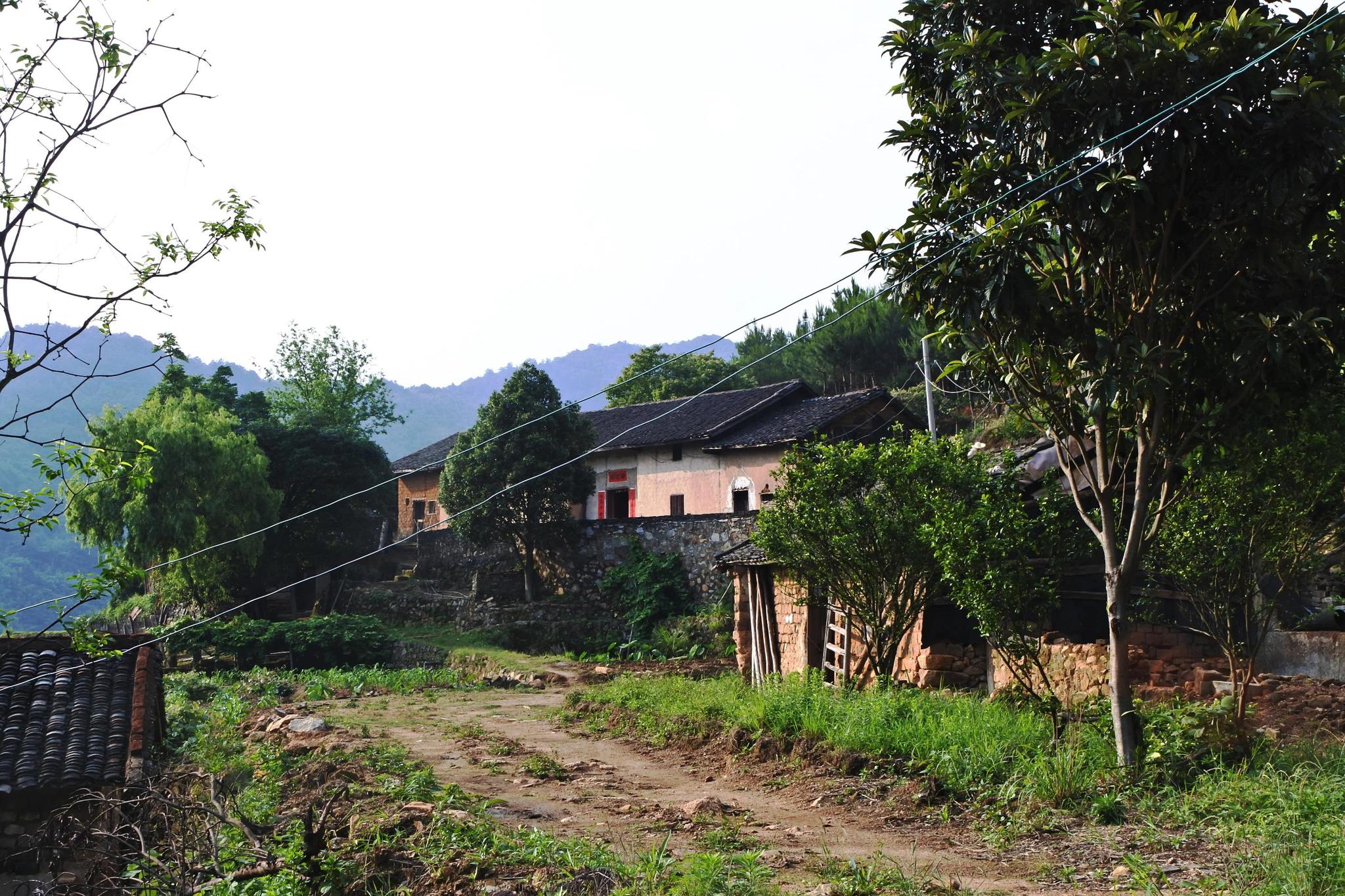 大山深处藏在一片梯田,一条瀑布,这人家过着向往的生活