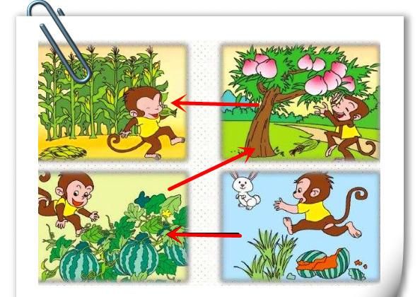 小学生质疑课文小猴子下山