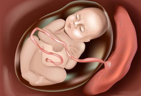 剖腹产为何要在孕38周而不是40周?|剖腹产|胎儿|怀孕_新浪新闻