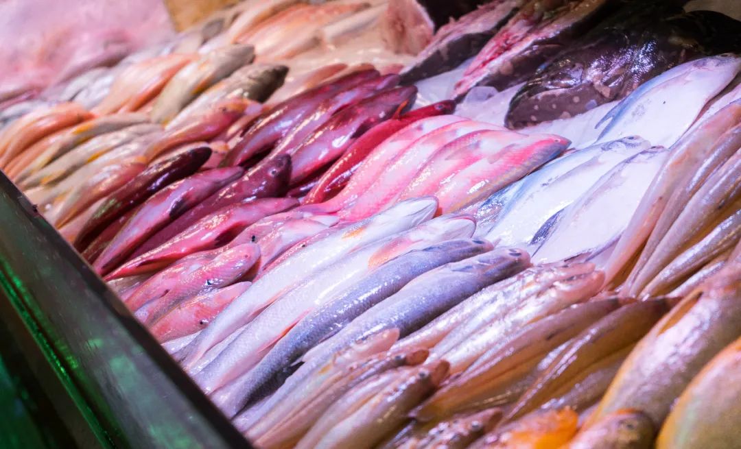 这里一进门就是水产海鲜,毕竟,南方的市场,哪里能少得了扇贝鱼虾?